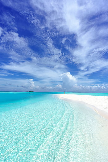 Experience the turquoise waters and white sands of Rasdhoo beach in the Maldives. HD phone wallpaper