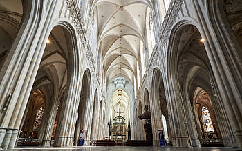 Antwerp Cathedral, Belgium, Belgium, Antwerp, interior, church, gothic HD wallpaper