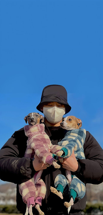 Jungkook, bts, sky, canidae, cute_dogs, jeon_jungkook, jungkook_, bts_ HD phone wallpaper