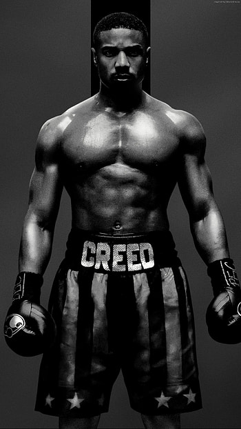 Adonis Creed, Combat Sports HD phone wallpaper