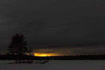 Winter, Nature, Trees, Sunset, Night, Snow, Horizon HD wallpaper