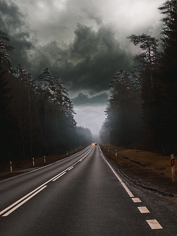 Nature, Trees, Clouds, Cars, Road, Fog, Mainly Cloudy, Overcast HD phone wallpaper
