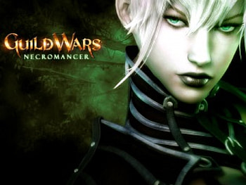 Guild Wars Necromancer, mmorpg, guild, online, guild wars, necromancer, war HD wallpaper