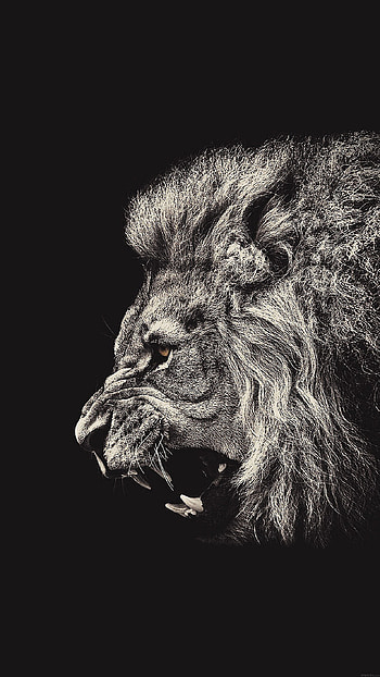 Lion 6s Simple Dark Black Motive Ideas Classic Adjustable Collection Ultra HD phone wallpaper