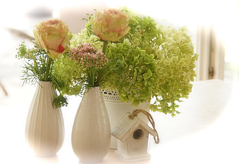 White home, sweet, white, wonderful, fresh, light, bright, green, flowers, home HD wallpaper