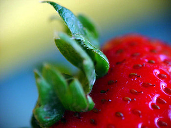 Strawberry, Macro, Berry HD wallpaper