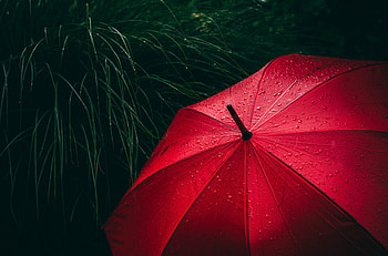 Grass, Drops, Miscellanea, Miscellaneous, Umbrella HD wallpaper