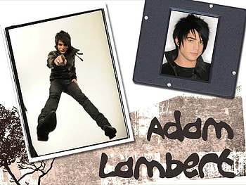 adam lambert :D, lollololol, lol, lololollolololololl HD wallpaper
