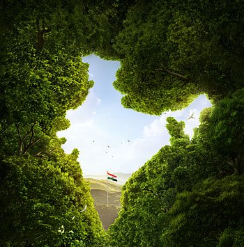 India, Flag of India, Trees, CGI, , Creative Graphics, Indian Nature HD phone wallpaper