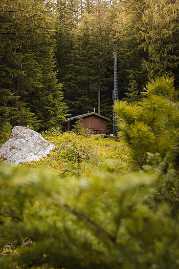 Nature, Trees, Rock, Building, Forest, Stone HD phone wallpaper