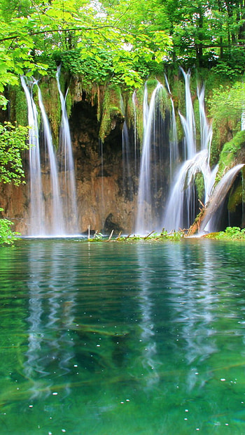 Jungle , Nature's canvas, Stunning landscapes, Tropical paradise HD phone wallpaper