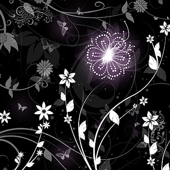 Flowers, Patterns, Vector, Shine, Brilliance HD phone wallpaper