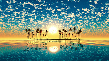 Tree Horizon Sea Sunset , tree, sea, sunset, nature HD wallpaper