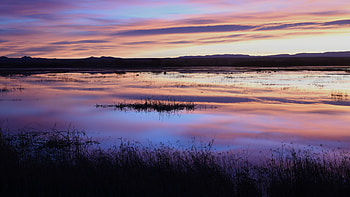 Nature, Sunset, Grass, Twilight, Lake, Dusk HD wallpaper