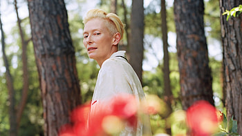 Tilda Swinton, Cinematic artist, Variety's favorite, Enduring talent HD wallpaper