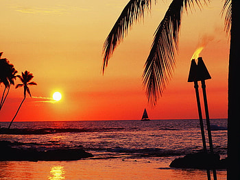 Orange sunset, boat, beach, reflection, sands, bright, water, sun, ocean, sunset, palms, sea, orange sky, orange, bright day, red, nature, sky HD wallpaper