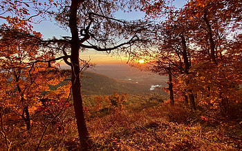 Golden hour on Mount Yonah at Fall, Northern Georgia, leaves, landscape, trees, colors, sky, usa HD wallpaper
