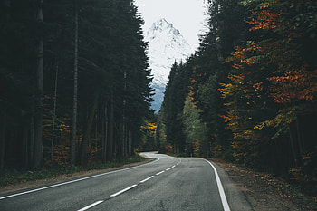 Lonely Road, Road, nature, forest, path HD wallpaper