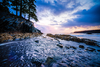 Nature, Water, Trees, Stones, Flow, Stream, Alaska HD wallpaper
