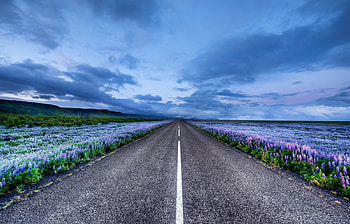 Landscape, Nature, Roads HD wallpaper
