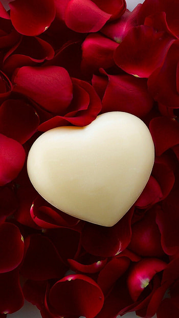 Petals Roses, Hearts HD phone wallpaper