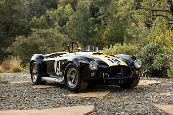 1965 Ford Shelby Cobra, 1965, car, street, trees, Shelby, road, Cobra, Ford HD wallpaper