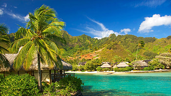 Tropical , Dual screen HD wallpaper