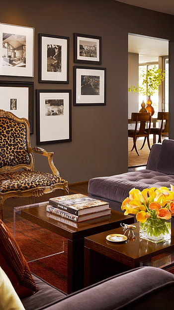 Brown, Brown Interior HD phone wallpaper