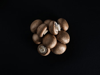 Delicious culinary delight, Mushroom varieties, Bio quality, Freshly harvested HD wallpaper