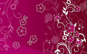 pink background HD wallpaper