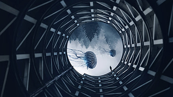 Undiscovered Jellyfish Manipulation, jellyfish, manipulation, artist, artwork, digital-art, deviantart HD wallpaper