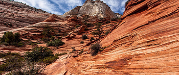 Zion National Park, Cool , 2022's best, Zion in all its glory HD wallpaper