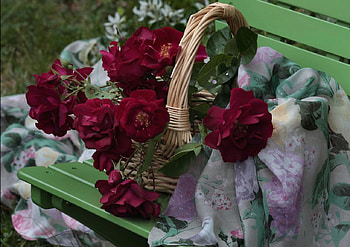 Basket of red roses, still life, roses, baket, red HD wallpaper