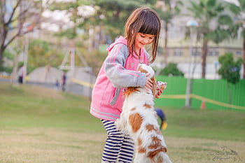 A young girl enjoys playful moments with her pet Cavalier King Charles Spaniel in a sunny park. HD wallpaper