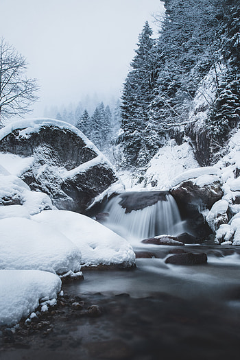 Winter, Nature, Trees, Snow, Waterfall, Flow HD phone wallpaper