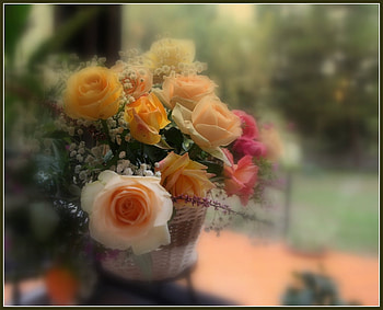 Roses Basket for All August Birtay*s, basket, still life, roses, birtay, garden, august, variable HD wallpaper