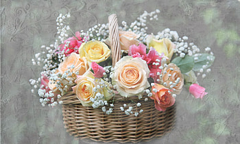 Roses, Flowers, Gypsophilus, Gipsophile, Basket HD wallpaper