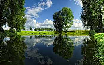 Landscape, Rivers, Trees HD wallpaper