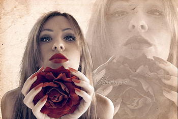 lust, rose, lady, model, flower, red HD wallpaper