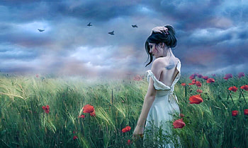 Stroll in The Fields, softness, model, brunette, Field, feminine, graph, flowers, woman HD wallpaper