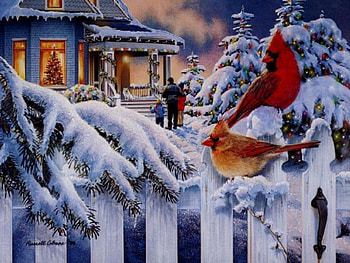 winter birds, xmas HD wallpaper