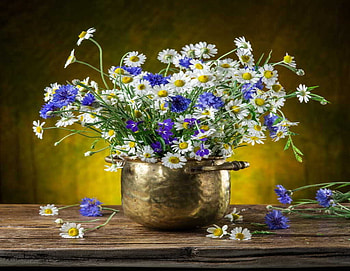 Bouquet of flowers, Bouquet, Vase, Chamomiles, Cornflowers HD wallpaper