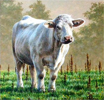 Cow, animal, painting, art, grass HD wallpaper