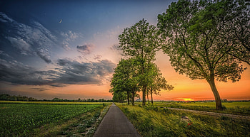 Sunset countryside, trail, trees, fields, sunset HD wallpaper
