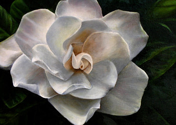 Lovely White Flower, soft, white, beauty, flower HD wallpaper