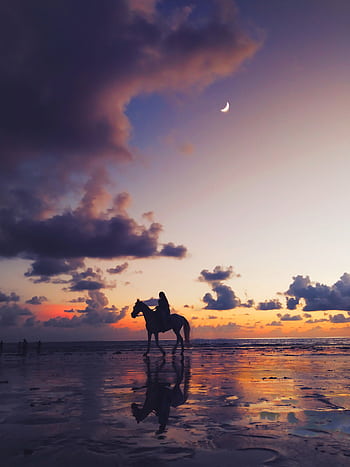 Silhouette of a horse and rider against a stunning twilight sky on a beach in Mumbai. HD phone wallpaper