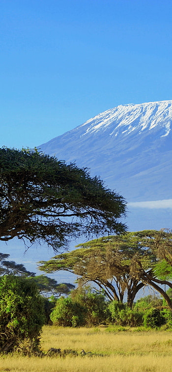 Kilimanjaro, Travels, , quality HD phone wallpaper