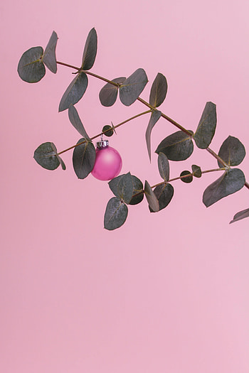 Minimalism, Branch, Ball, Decoration HD phone wallpaper