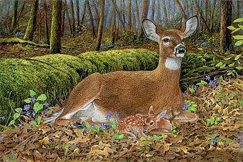 With my Mom, trees, deers, forest, animals HD wallpaper