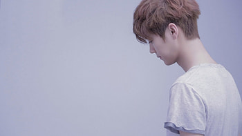 exo, star, korean, chinese HD wallpaper